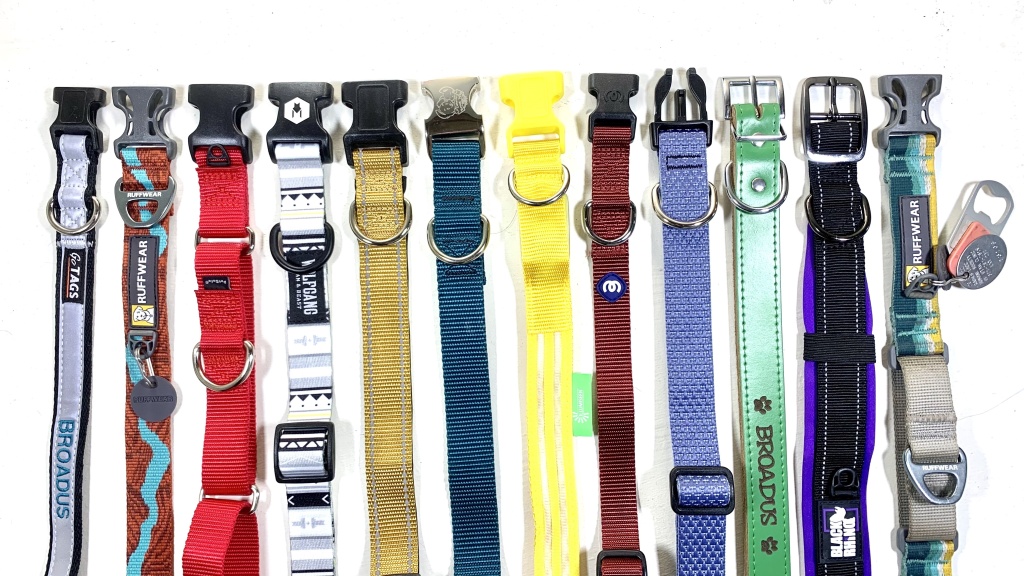 What Are The Best Dog Collars